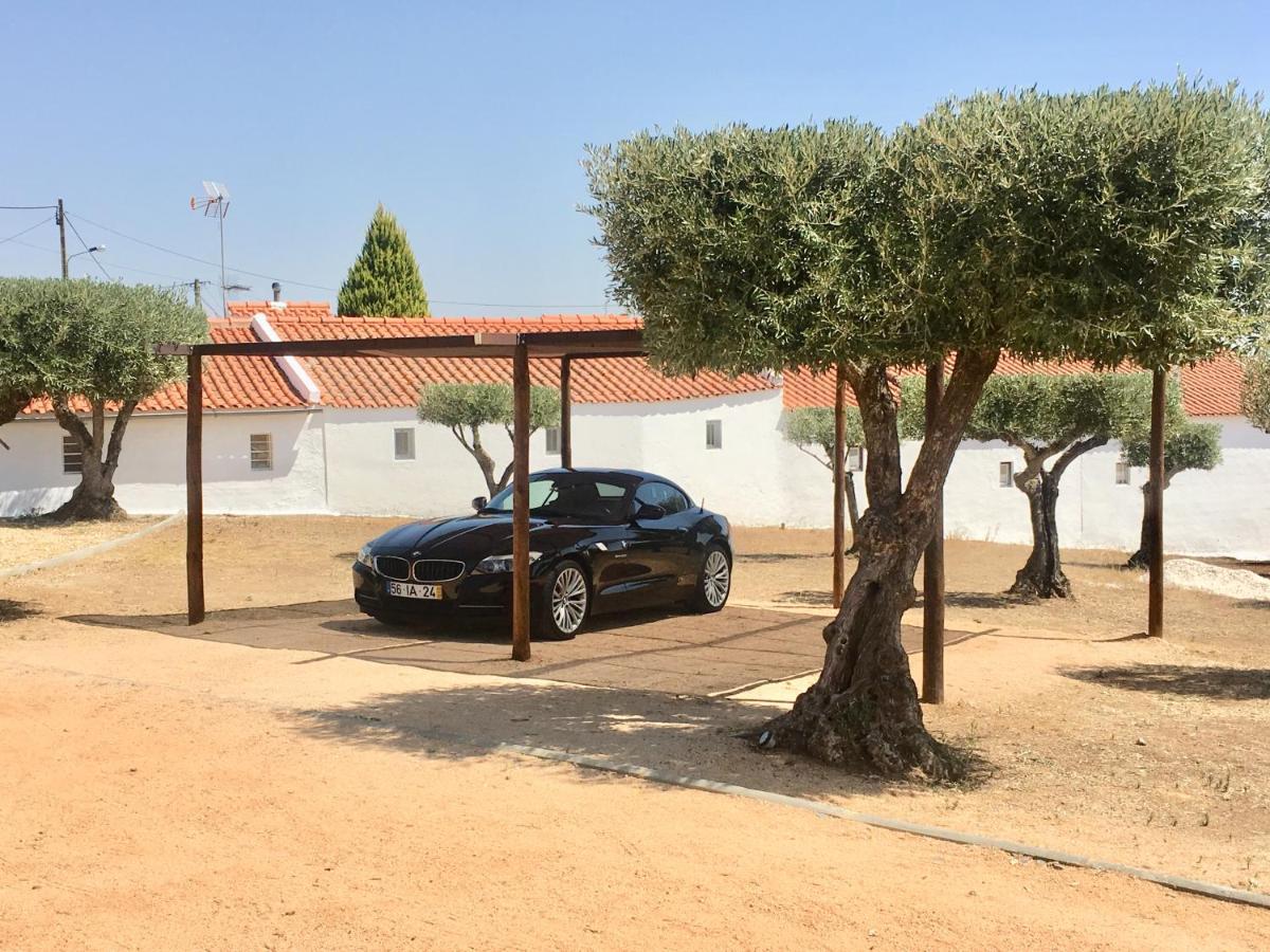 Aleixo's House | Alentejo Séjour à la ferme *