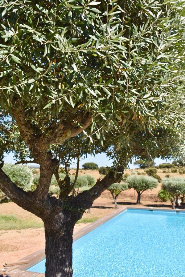Aleixo's House | Alentejo Séjour à la ferme *