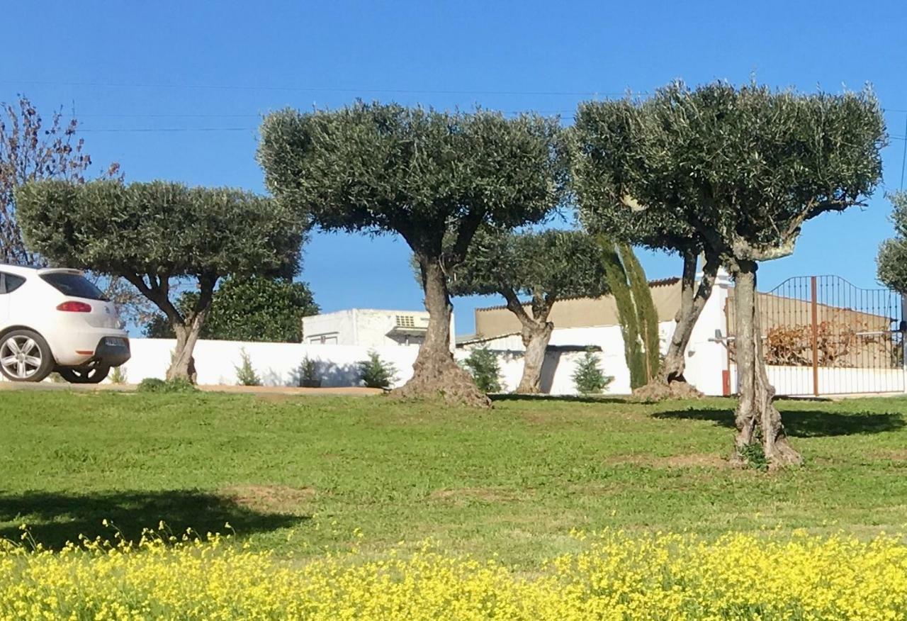 Aleixo's House | Alentejo Séjour à la ferme *